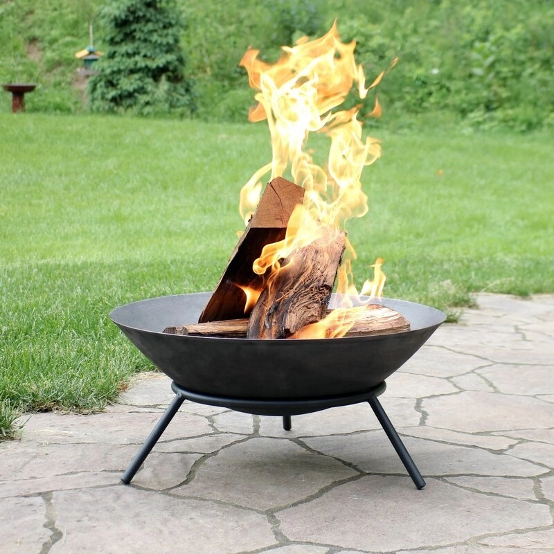 Fire Pit Outdoor 22 Inch Cast Iron Wood Burning Firepit